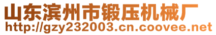 山東濱州市鍛壓機(jī)械廠