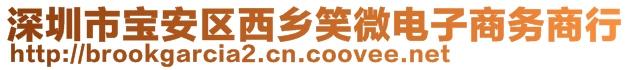 深圳市寶安區(qū)西鄉(xiāng)笑微電子商務(wù)商行