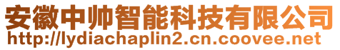 安徽中帥智能科技有限公司