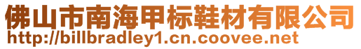 佛山市南海甲標鞋材有限公司