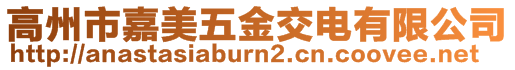 高州市嘉美五金交電有限公司