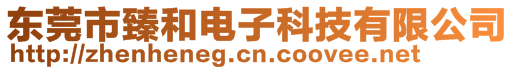 東莞市臻和電子科技有限公司