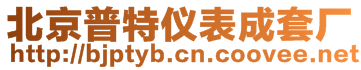 北京普特仪表成套厂