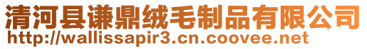 清河縣謙鼎絨毛制品有限公司