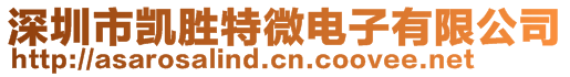 深圳市凱勝特微電子有限公司