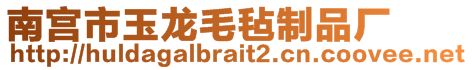 南宮市玉龍毛氈制品廠