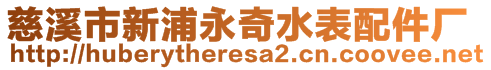 慈溪市新浦永奇水表配件厂