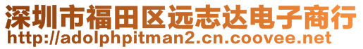 深圳市福田區(qū)遠(yuǎn)志達(dá)電子商行