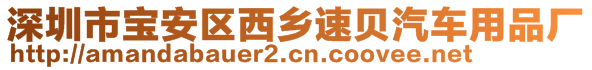 深圳市寶安區(qū)西鄉(xiāng)速貝汽車用品廠