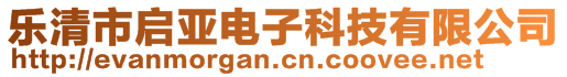 樂清市啟亞電子科技有限公司