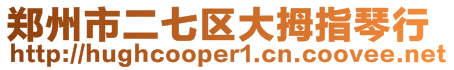 鄭州市二七區(qū)大拇指琴行