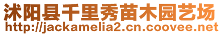 沭陽縣千里秀苗木園藝場