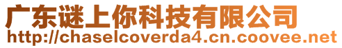 廣東謎上你科技有限公司