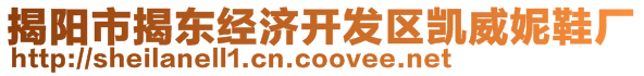 揭陽市揭東經(jīng)濟開發(fā)區(qū)凱威妮鞋廠