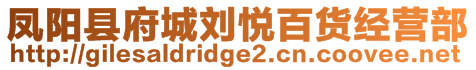 鳳陽縣府城劉悅百貨經(jīng)營部