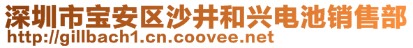 深圳市宝安区沙井和兴电池销售部