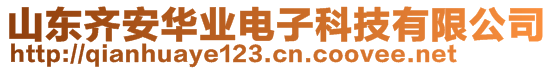 山東齊安華業(yè)電子科技有限公司