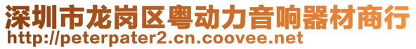 深圳市龍崗區(qū)粵動力音響器材商行