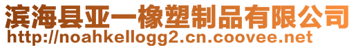 滨海县亚一橡塑制品有限公司