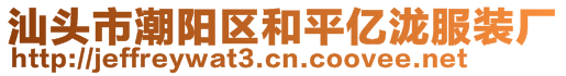 汕頭市潮陽區(qū)和平億瀧服裝廠