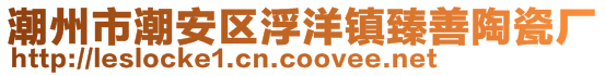 潮州市潮安區(qū)浮洋鎮(zhèn)臻善陶瓷廠