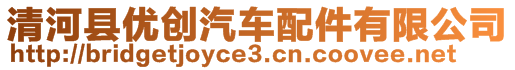 清河縣優(yōu)創(chuàng)汽車配件有限公司