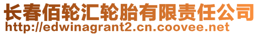 長春佰輪匯輪胎有限責任公司