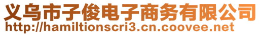 義烏市子俊電子商務(wù)有限公司