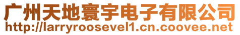 廣州天地寰宇電子有限公司