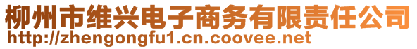 柳州市维兴电子商务有限责任公司