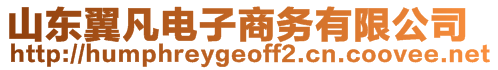 山東翼凡電子商務(wù)有限公司