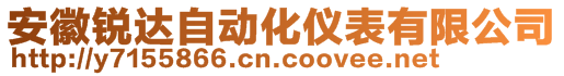 安徽銳達自動化儀表有限公司