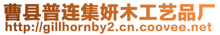 曹縣普連集妍木工藝品廠