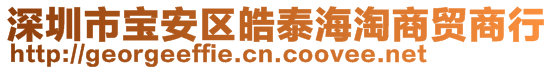 深圳市寶安區(qū)皓泰海淘商貿(mào)商行