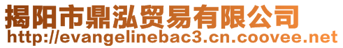 揭陽(yáng)市鼎泓貿(mào)易有限公司