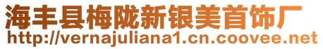 海豐縣梅隴新銀美首飾廠