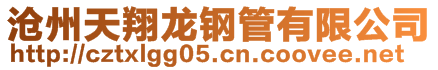 滄州天翔龍鋼管有限公司