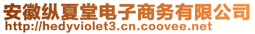 安徽縱夏堂電子商務(wù)有限公司