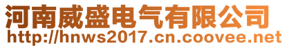 河南威盛電氣有限公司