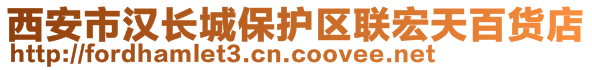 西安市漢長城保護區(qū)聯宏天百貨店
