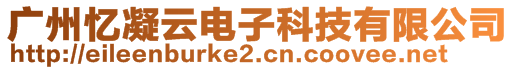 廣州憶凝云電子科技有限公司