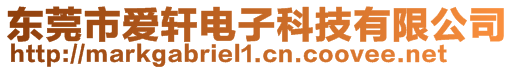 東莞市愛軒電子科技有限公司