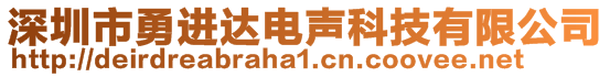 深圳市勇進達電聲科技有限公司