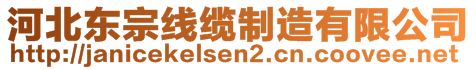 河北東宗線纜制造有限公司