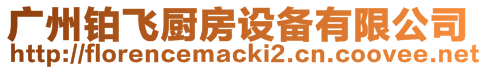 廣州鉑飛廚房設(shè)備有限公司