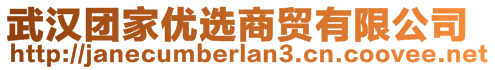 武汉团家优选商贸有限公司