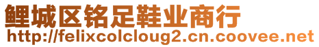 鯉城區(qū)銘足鞋業(yè)商行