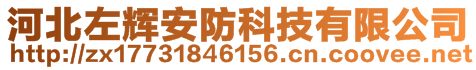 河北左輝安防科技有限公司