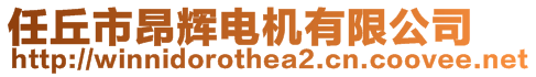 任丘市昂輝電機(jī)有限公司