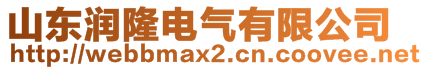 山東潤隆電氣有限公司